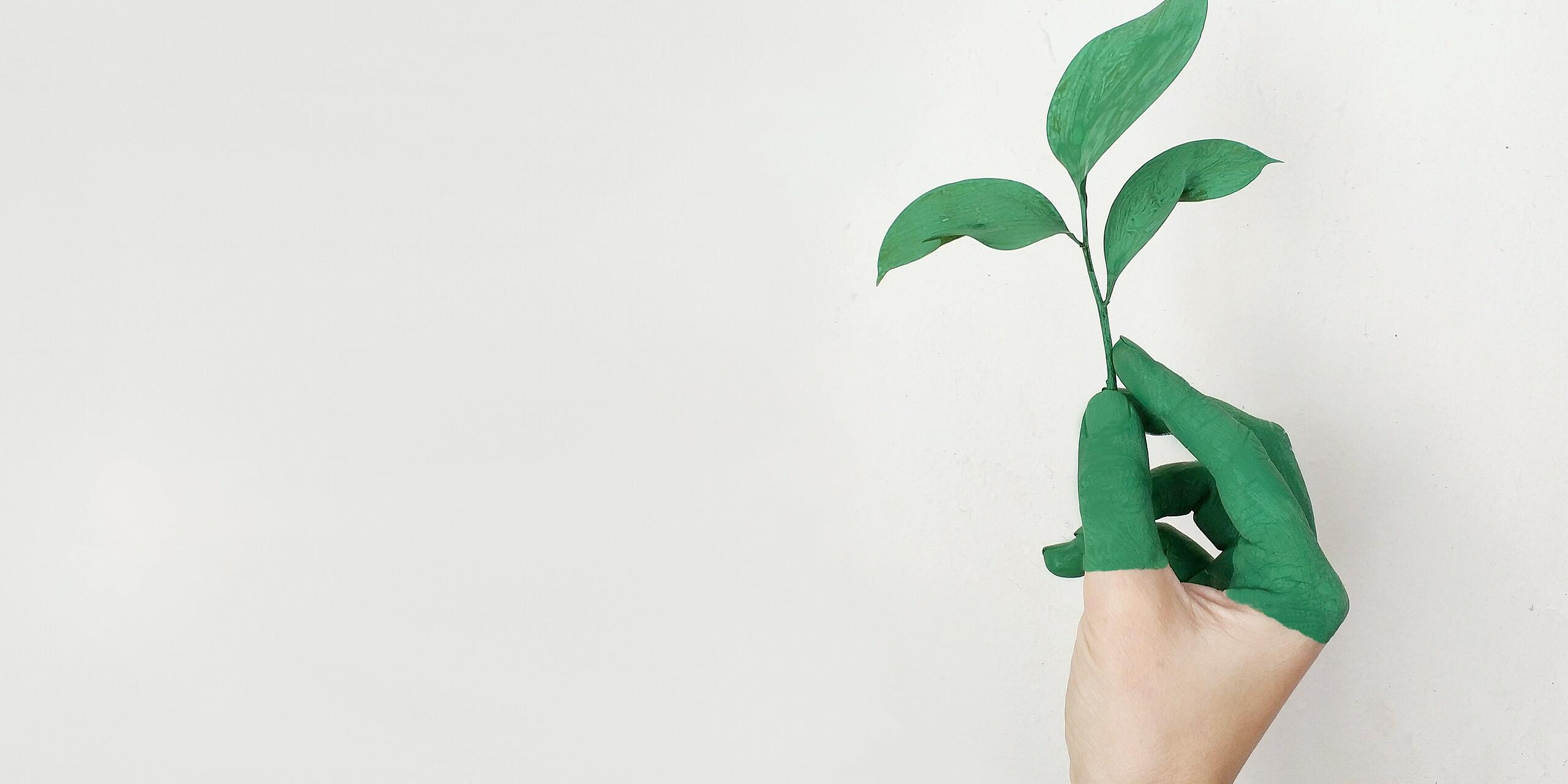 Eine Hand, die vor neutralem Hintergrund eine grüne Pflanze mit drei Blättern ins Bild hält. Die Hand ist zur Hälfte grün angemalt.